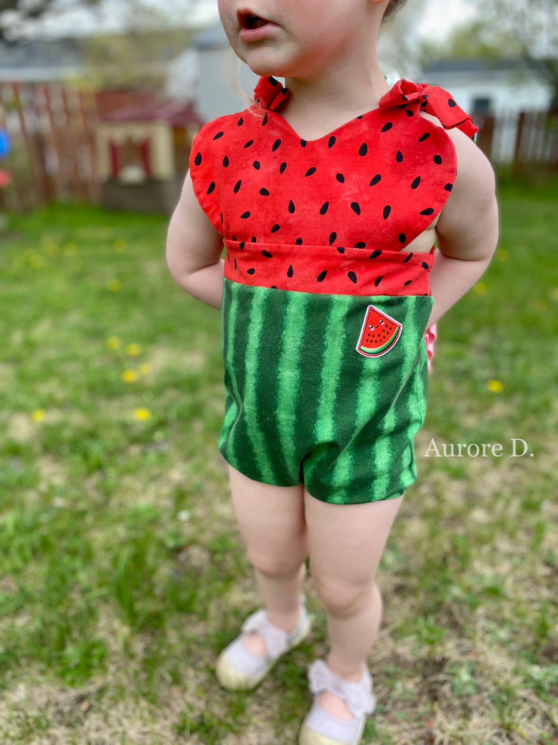 Red Watermelon Patch