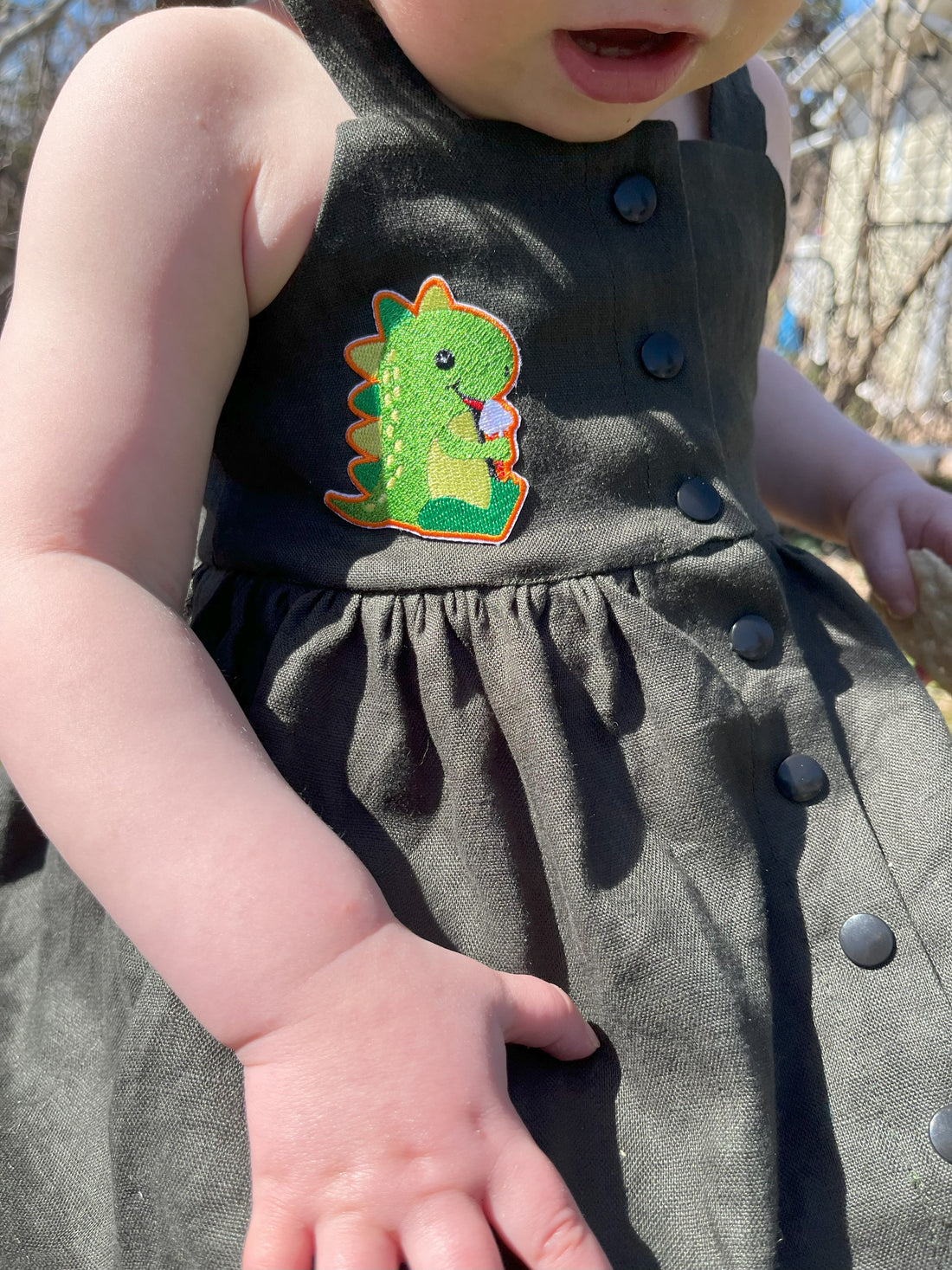 Dinosaur Patch
